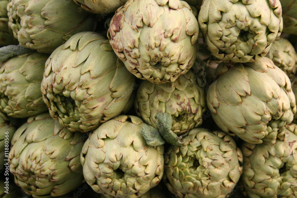 Obraz premium alcaucil