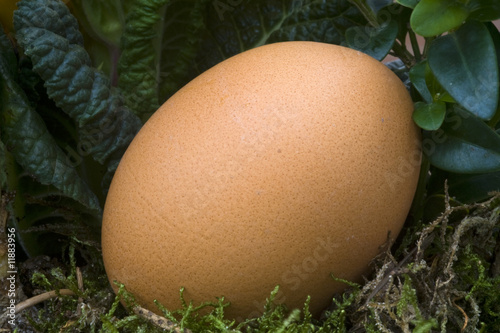 Ei
