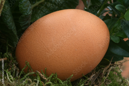 Ei