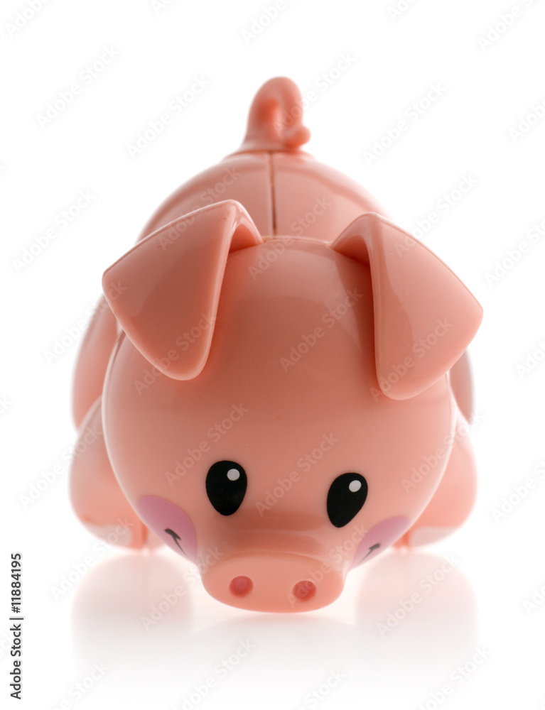 pig pig