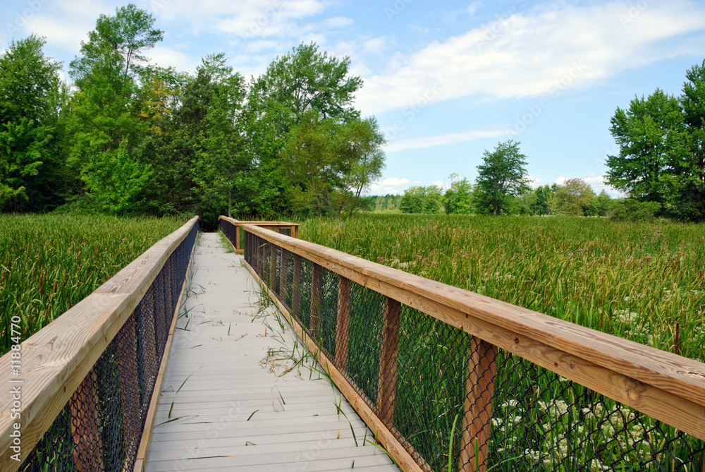 Pedestrian Bridge Pedestrian Bridge