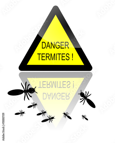 danger termites 4