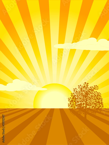 Sunset over cultivated landscape