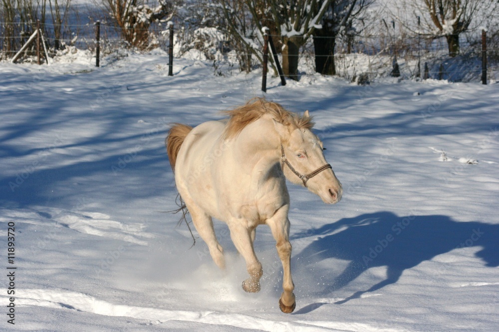 Axel im Schnee 4