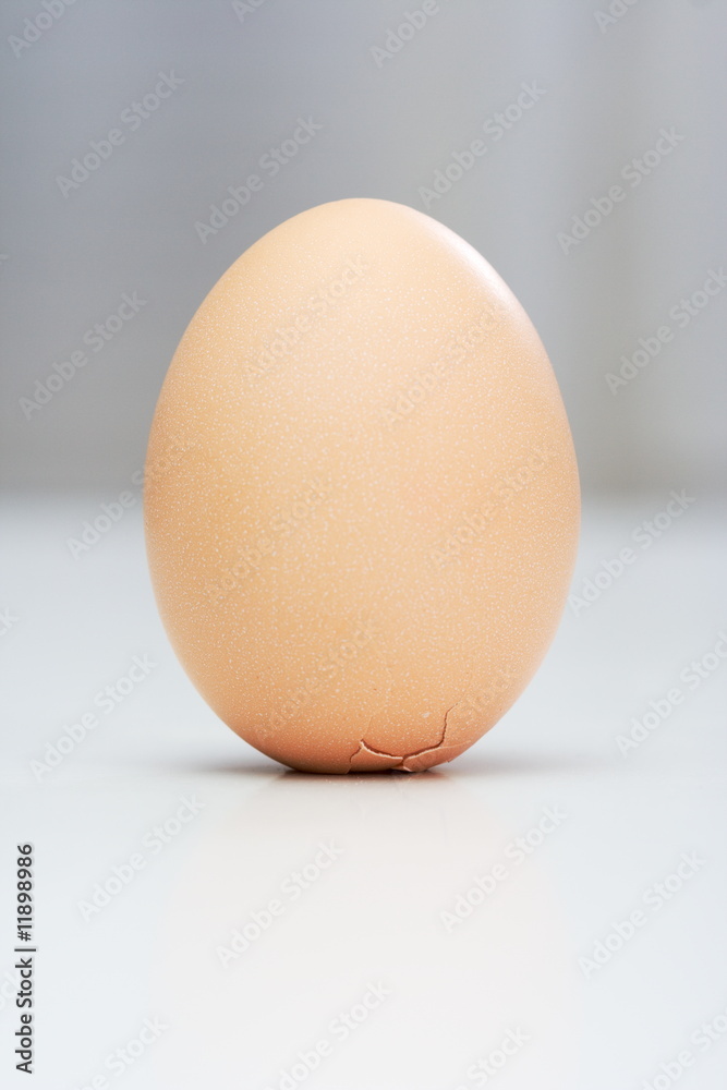 Egg of Columbus