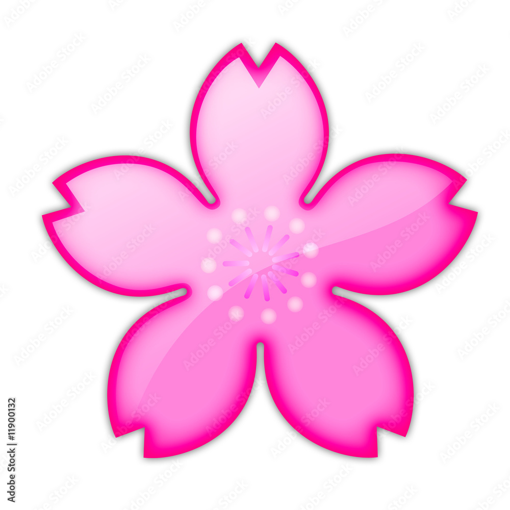 桜の花びら 桜の花びら