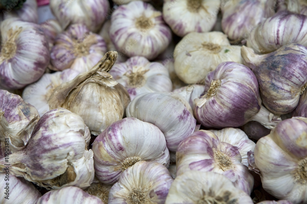 garlic garlic