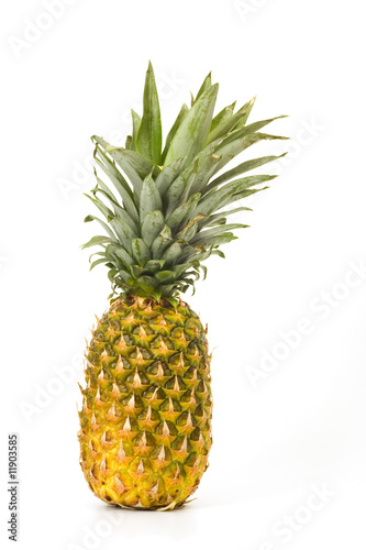 Pineapple