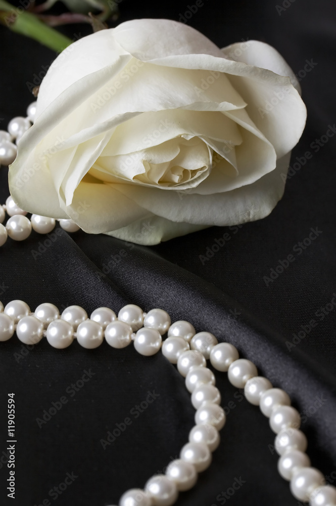 smooth black satin and white rose, beautiful white flower smooth black satin and white rose, beautiful white flower