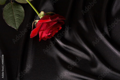 smooth black satin and red rose