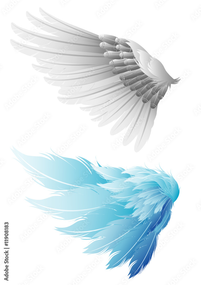 Fototapeta premium Wing