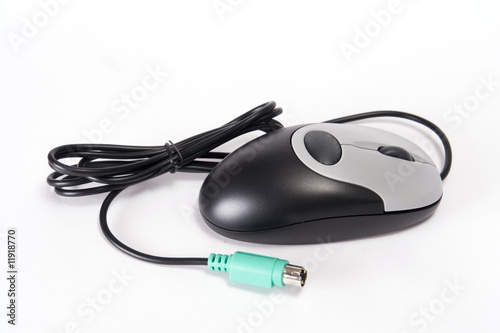 computer mouse