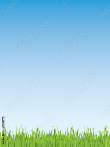 Spring grass illustration (seamless)