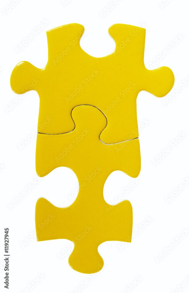 Pieces of puzzle