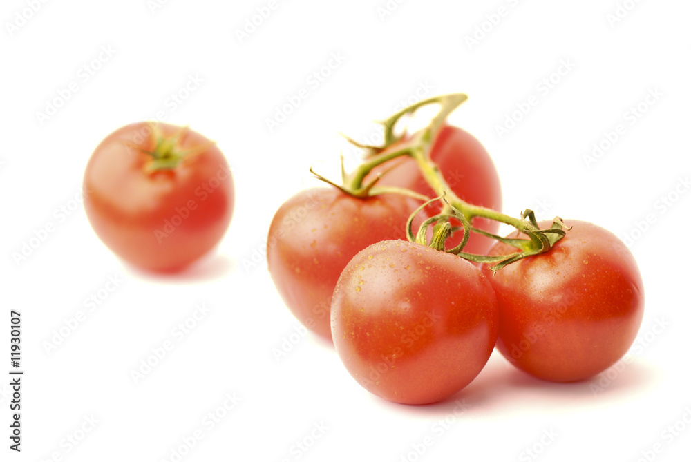 Tomatoes on the vine with one single tomato Tomatoes on the vine with one single tomato