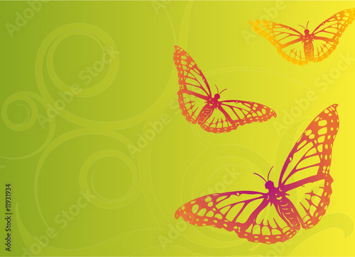 Schmetterling Vektor Illustration