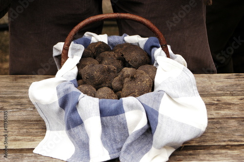 lalbenque marché aux truffes