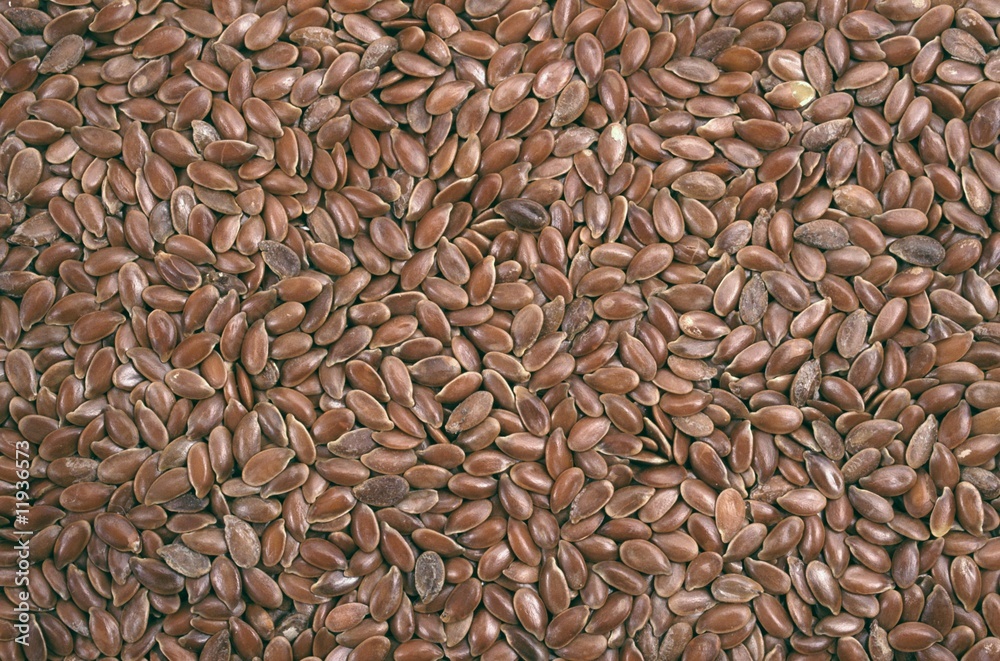 Closeup view of flix seeds - background Closeup view of flix seeds - background