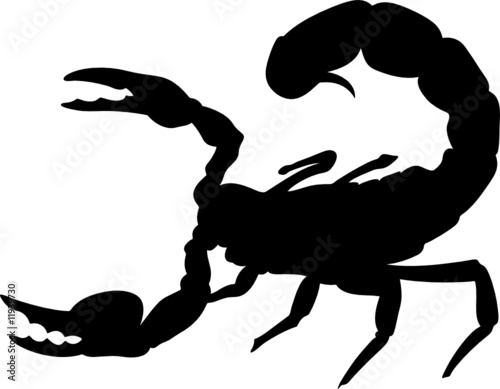 scorpion vector silhouettes