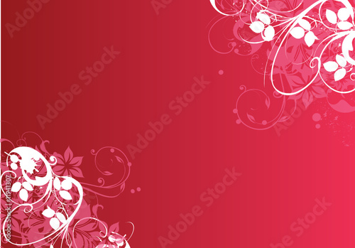 fond floral rose et blanche