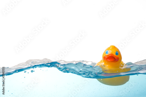 Rubber Duck in Water