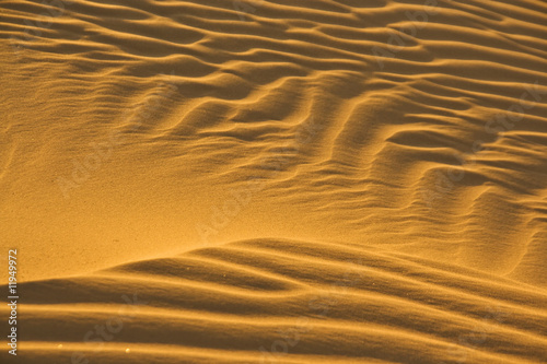 desert sand in evening sun