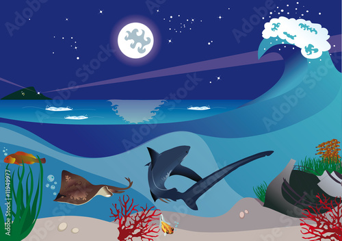 Obraz na plátně Paesaggio marino notturno