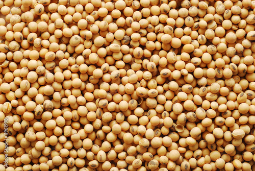 soy beans background