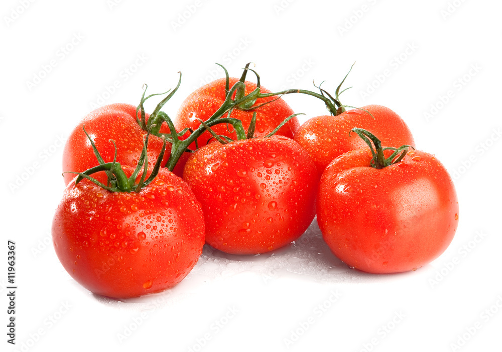 branch of tomato isolated over a white background branch of tomato isolated over a white background