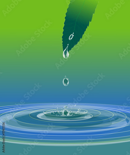 Water dripping off a wet leaf