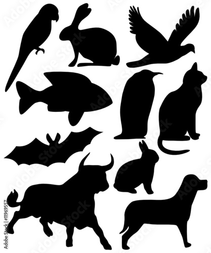 Tier Silhouetten