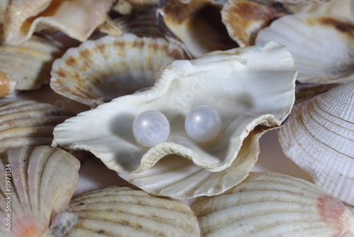 shell and two pearl