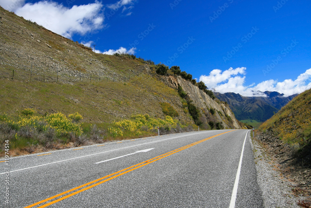 Fototapeta premium New Zealand Country Road