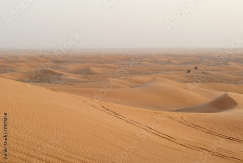 vista panoramica del deserto