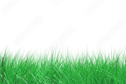 Rendered grass isolated