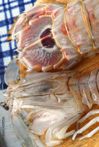 Canocchie crude - Squilla mantis