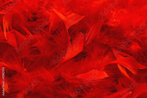 red boa texture full of fluffy feathers