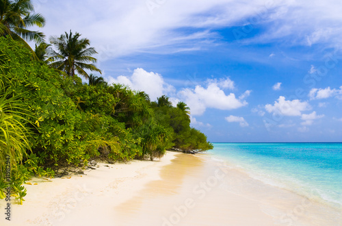 Tropical jungle and beach