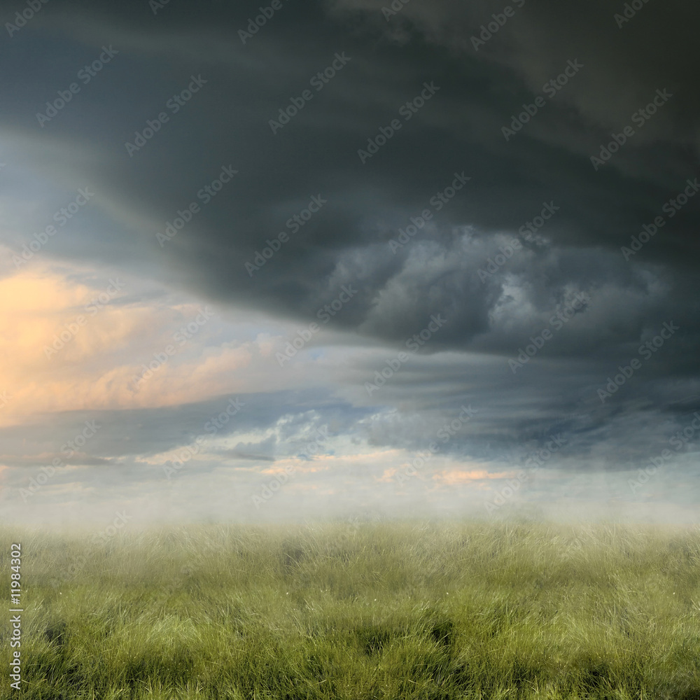 Twilight landscape with foggy field