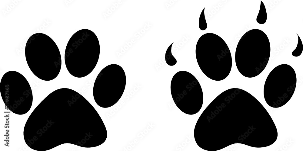 Fototapeta premium background with bear foot steps print