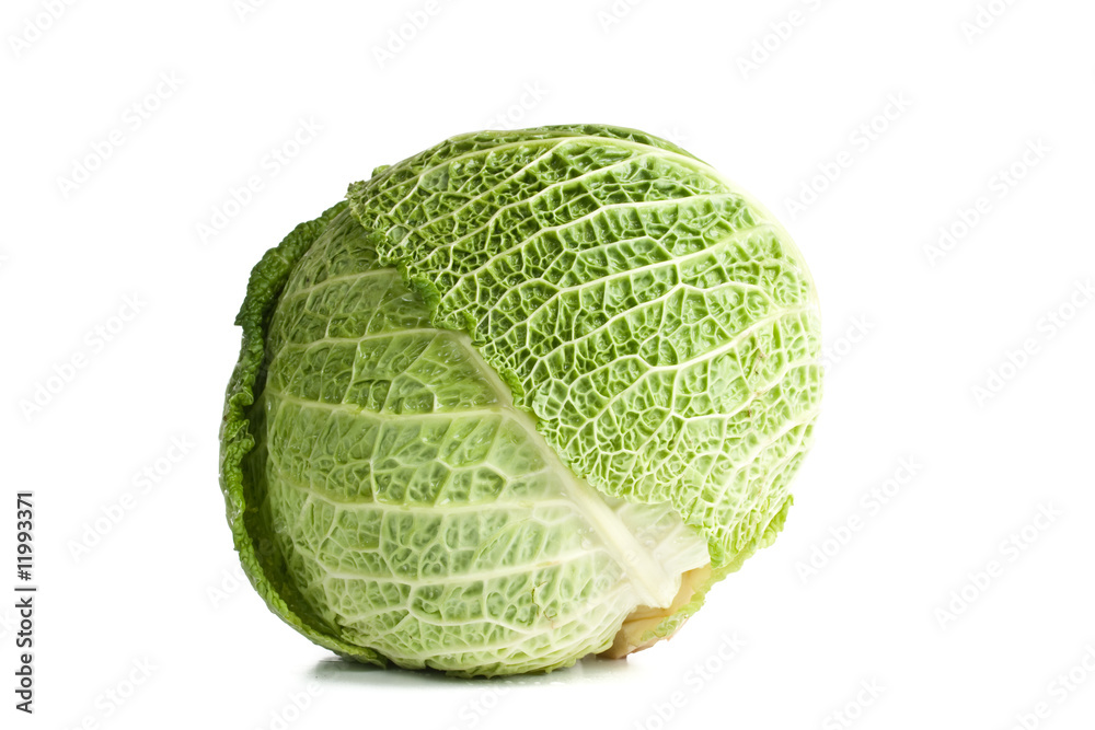 Fototapeta premium Fresh cabbage