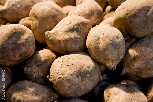 Kartoffeln photo