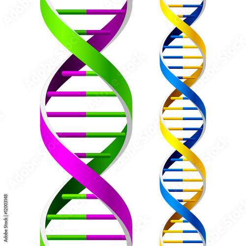 Vector DNA Strands. Seamless.