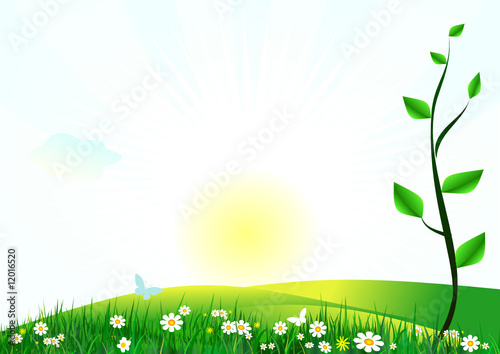 soleil de printemps
