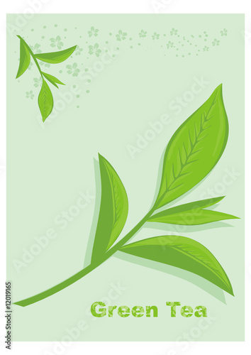 Green Tea Leaf