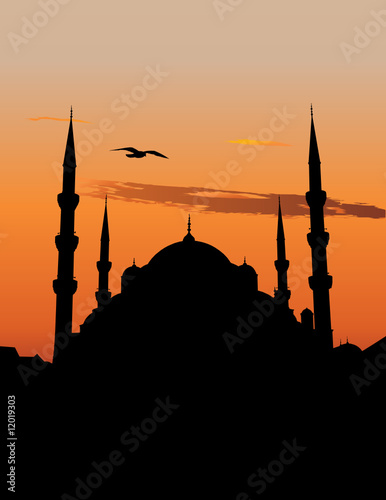 Vector silhouette of the Blue Mosque in Istanbul