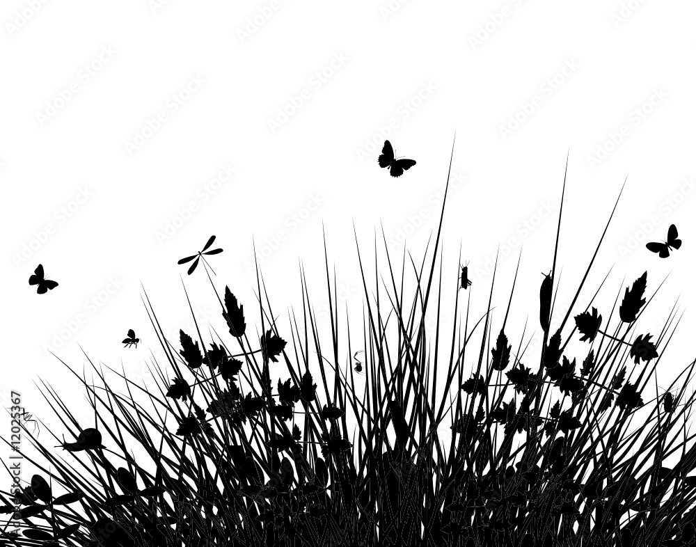 Meadow silhouette