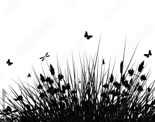 Meadow silhouette