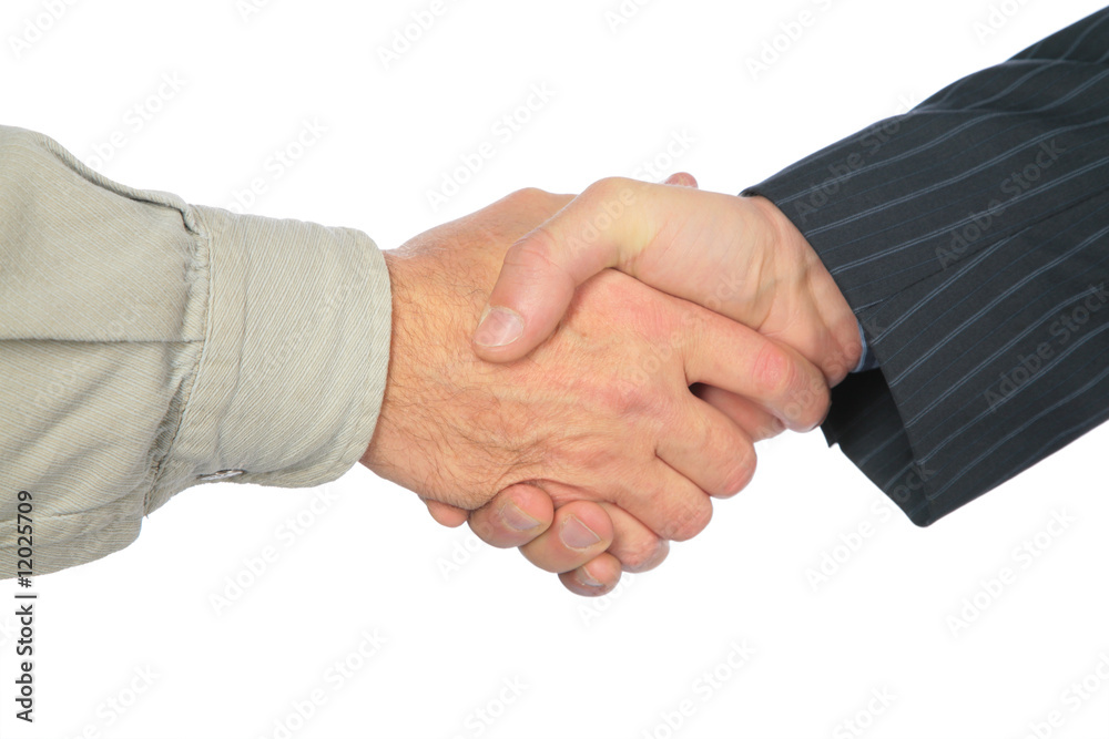 Obraz premium Man`s handshake