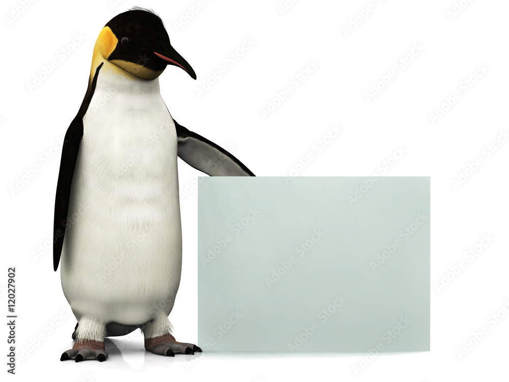 Obraz premium Penguin with sign